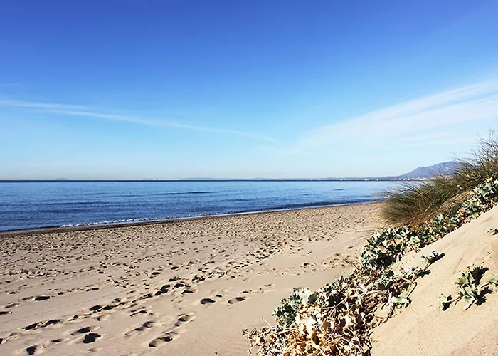 1100 - Front فيلة